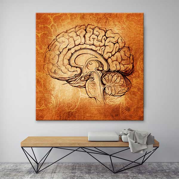 Vintage Beyin Kesiti Çizimi Kanvas Tablo – 1219