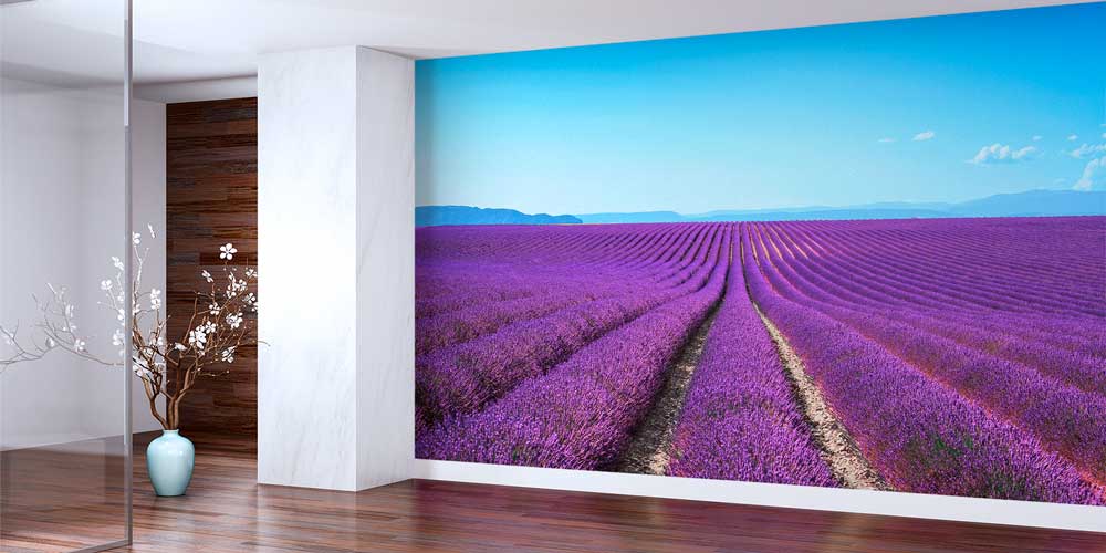 Lavanta Tarlası ve Avrupa Manzarası Panorama Fotoğraf Duvar Kağıdı 12903