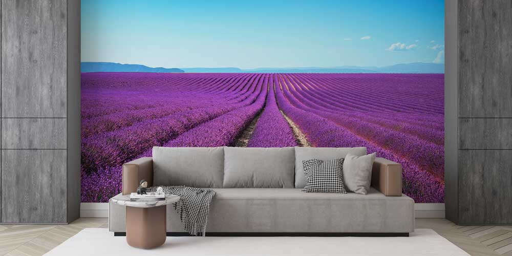 Lavanta Tarlası ve Avrupa Manzarası Panorama Fotoğraf Duvar Kağıdı 12903