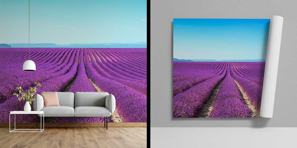 Lavanta Tarlası ve Avrupa Manzarası Panorama Fotoğraf Duvar Kağıdı 12903