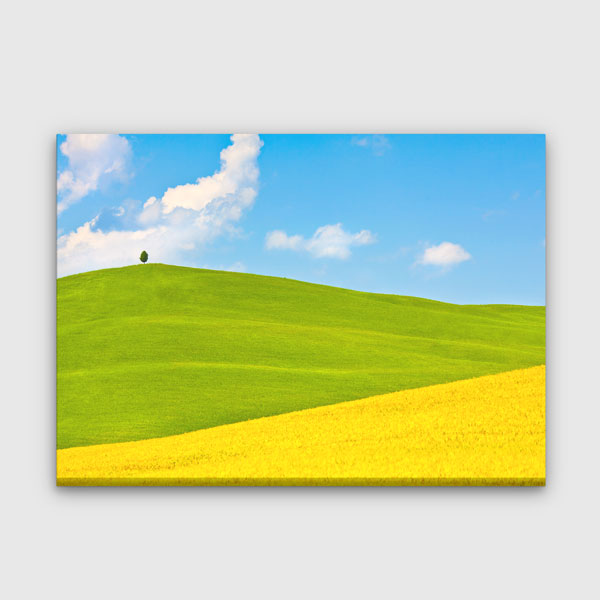 Sarı Buğday Tarlası ve Yeşil Tepeler Manzarası Duvar Tablosu 13393