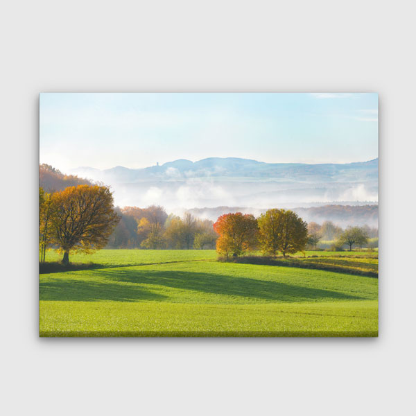 Sabah Sisinde Yeşil Avrupa Manzarası Kanvas Tablo 13433