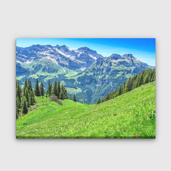 İsviçre Alpleri Dağ Manzarası Kanvas Tablo 13434