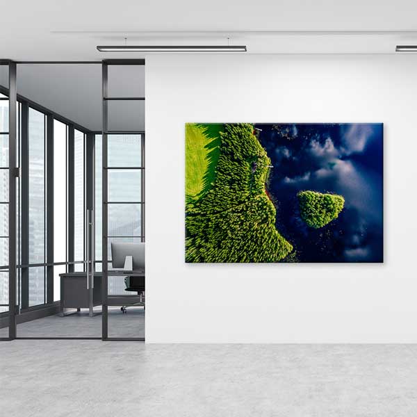Hava Çekimi Adacık ve Orman Manzarası Kanvas Tablo 13436