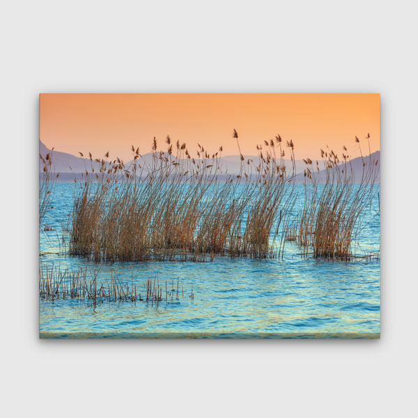 interior-wall-art-13484-00 Gün Batımında Göl Kamışları ve Su Manzarası Kanvas Tablo 13484