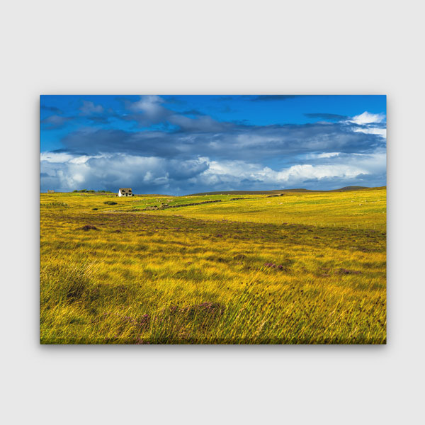 Geniş Sarı Çayır ve Kır Evi Manzarası Kanvas Tablo 13496