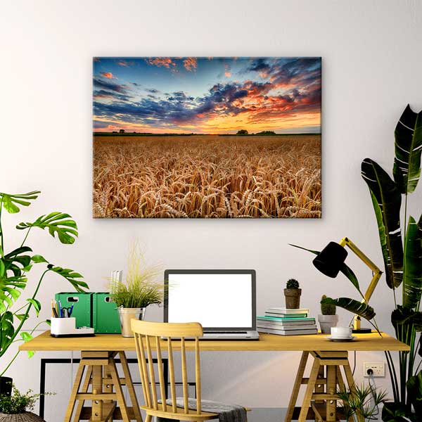 Buğday Tarlası ve Gün Batımı Manzarası Kanvas Tablo 13500