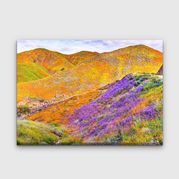 Renkli Çiçekli Tepeler Doğa Manzarası Kanvas Tablo 13564