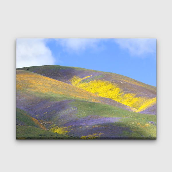 Renkli Çiçeklerle Kaplı Tepeler Manzarası Kanvas Tablo 13601