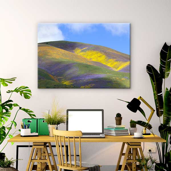 Renkli Çiçeklerle Kaplı Tepeler Manzarası Kanvas Tablo 13601