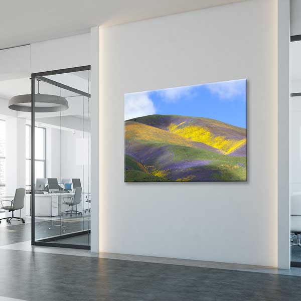 Renkli Çiçeklerle Kaplı Tepeler Manzarası Kanvas Tablo 13601