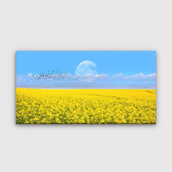 interior-wall-art-13743-00 Sarı Çiçek Tarlası ve Ay Manzarası Kanvas Tablo – 13743