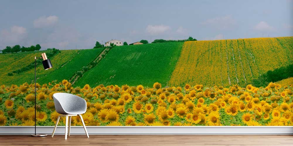 interior-wall-cover-12899-00 Ayçiçeği Tarlası ve Avrupa Kırsalı Panorama Fotoğraf Duvar Kağıdı 12899
