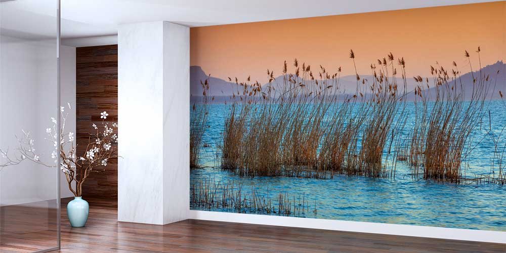 interior-wall-cover-13055-01 Gün Batımında Sazlıklar ve Sakin Göl Manzarası Duvar Kağıdı 13055