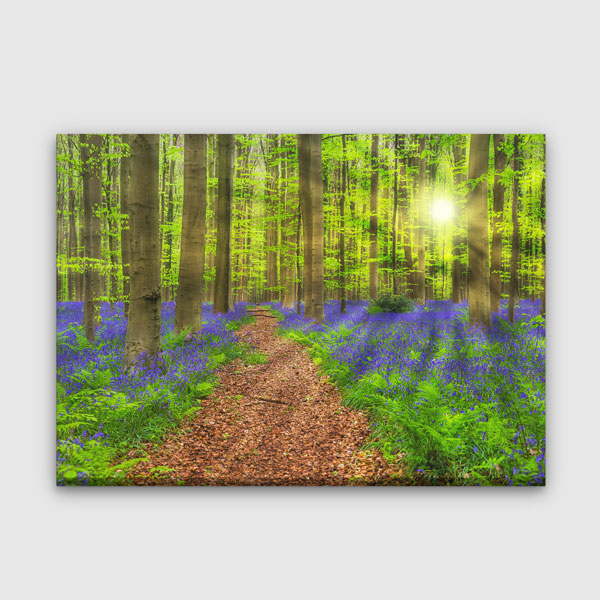 Gün Batımında Orman Yolu ve Mor Çiçekler Duvar Tablosu 13421