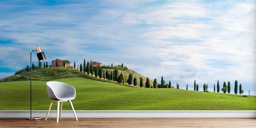 Toskana Kırsalı ve Selvi Ağaçları Panorama Fotoğraf Duvar Kağıdı 12904