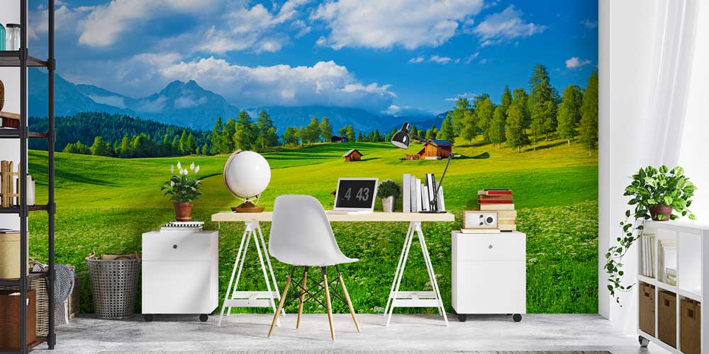 Alp Dağ Köyü ve Yeşil Çayırlar Panorama Fotoğraf Duvar Kağıdı 12907