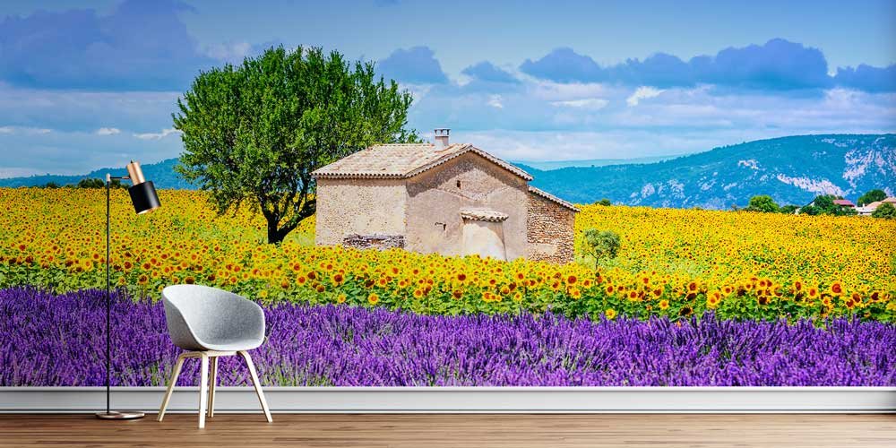 Lavanta ve Ayçiçeği Tarlası ile Taş Ev Panorama Fotoğraf Duvar Kağıdı 12911