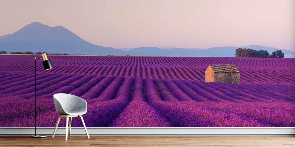 Lavanta Tarlası ve Kırsal Ev Manzaralı Doğa Duvar Kağıdı 13026