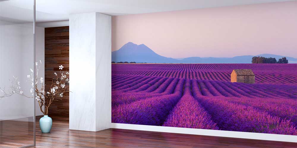 Lavanta Tarlası ve Kırsal Ev Manzaralı Doğa Duvar Kağıdı 13026