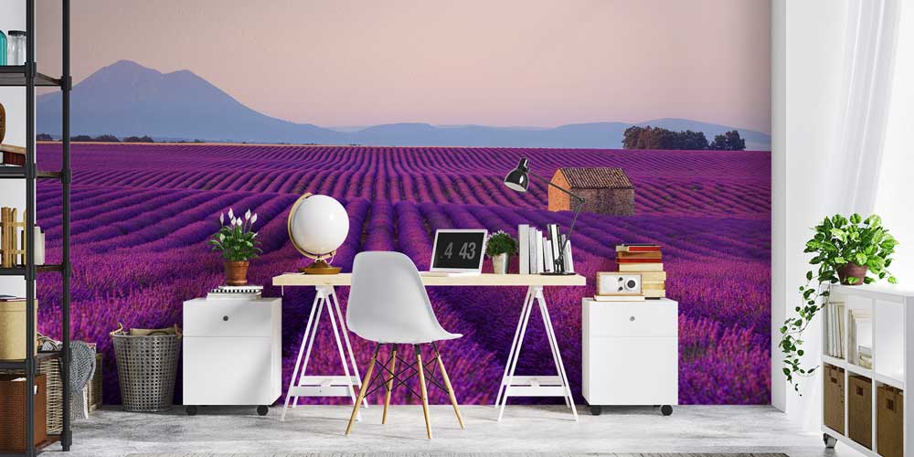 Lavanta Tarlası ve Kırsal Ev Manzaralı Doğa Duvar Kağıdı 13026