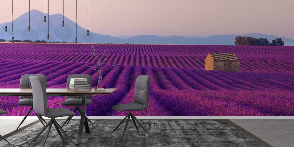 Lavanta Tarlası ve Kırsal Ev Manzaralı Doğa Duvar Kağıdı 13026