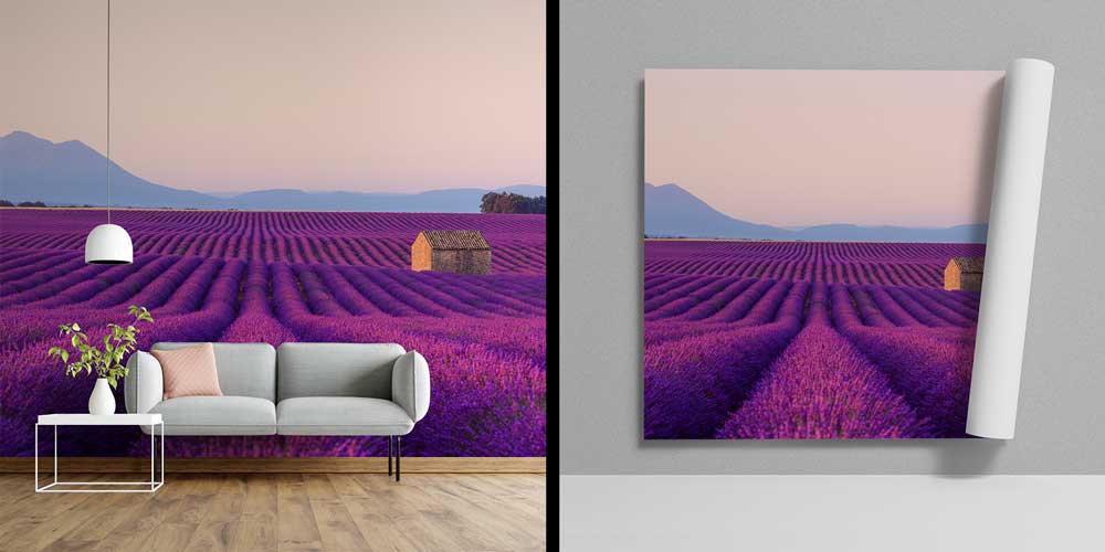 Lavanta Tarlası ve Kırsal Ev Manzaralı Doğa Duvar Kağıdı 13026