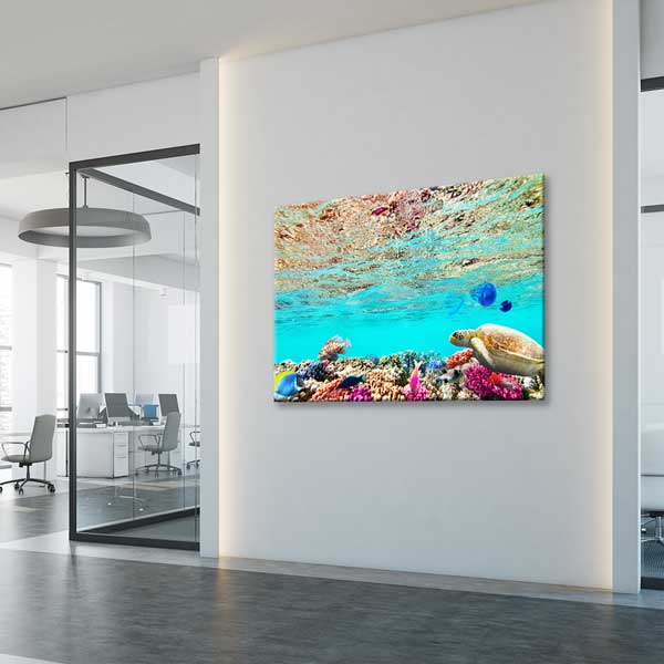 interior-wall-design-13335-04 Deniz Kaplumbağası ve Mercan Resifi Kanvas Tablo 13335