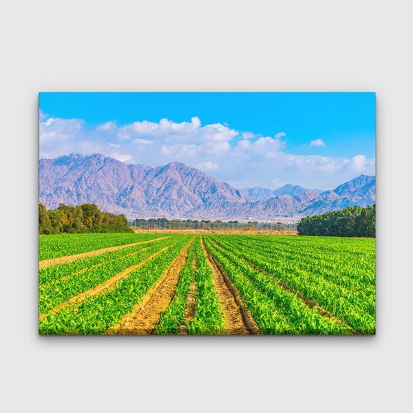 interior-wall-design-13348-00 Dağ Manzarası ve Yeşil Tarım Arazisi Kanvas Tablo 13348