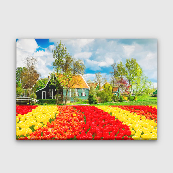 Hollanda Laleler ve Kır Evleri Bahar Manzarası Kanvas Tablo 13465