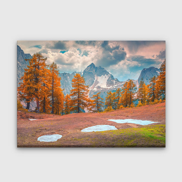 Sonbahar Çamları ve Karlı Dağ Manzarası Kanvas Tablo 13495