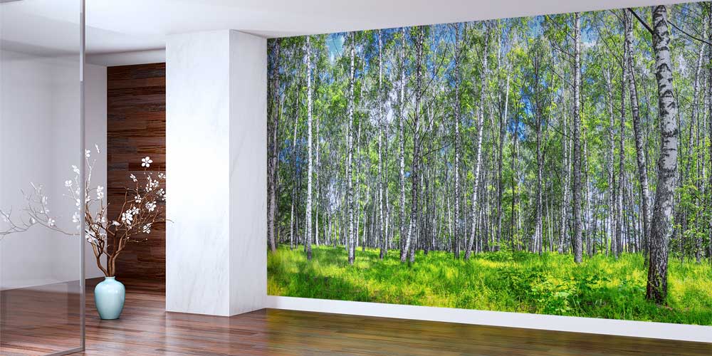 Huş Ağaçları ve Yeşil Orman Manzaralı Avrupa Duvar Kağıdı 13106