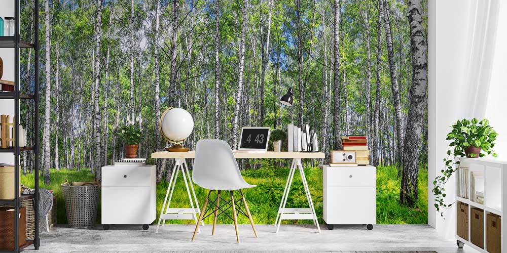 Huş Ağaçları ve Yeşil Orman Manzaralı Avrupa Duvar Kağıdı 13106