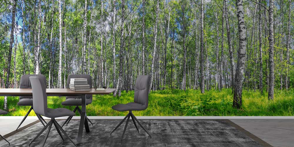 Huş Ağaçları ve Yeşil Orman Manzaralı Avrupa Duvar Kağıdı 13106