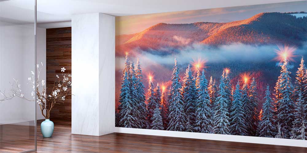 Kış Ormanı Duvar Kağıdı 12949