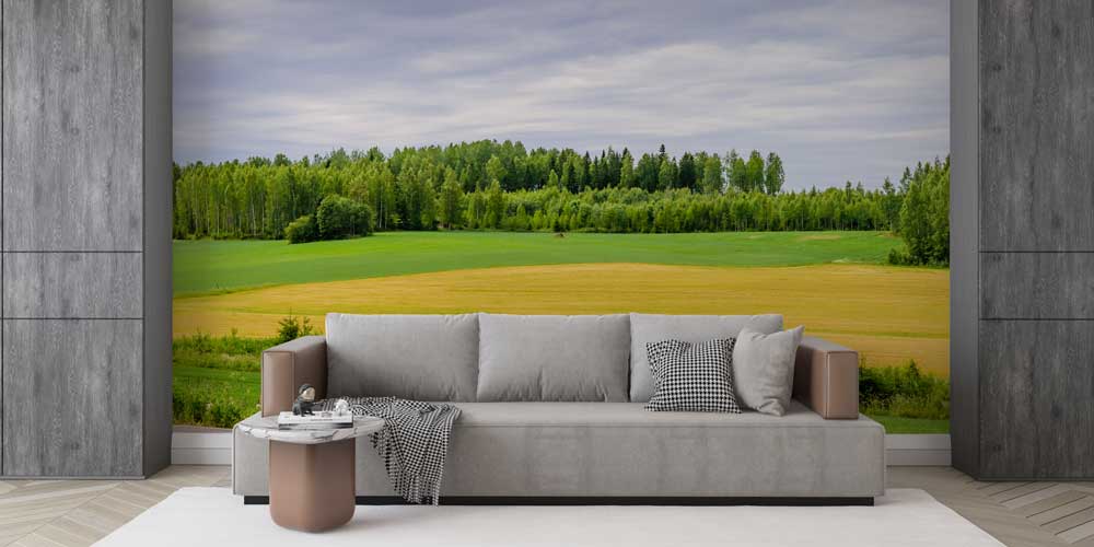 Yeşil Ova Kırsal Doğa Manzaralı Duvar Kağıdı 12998