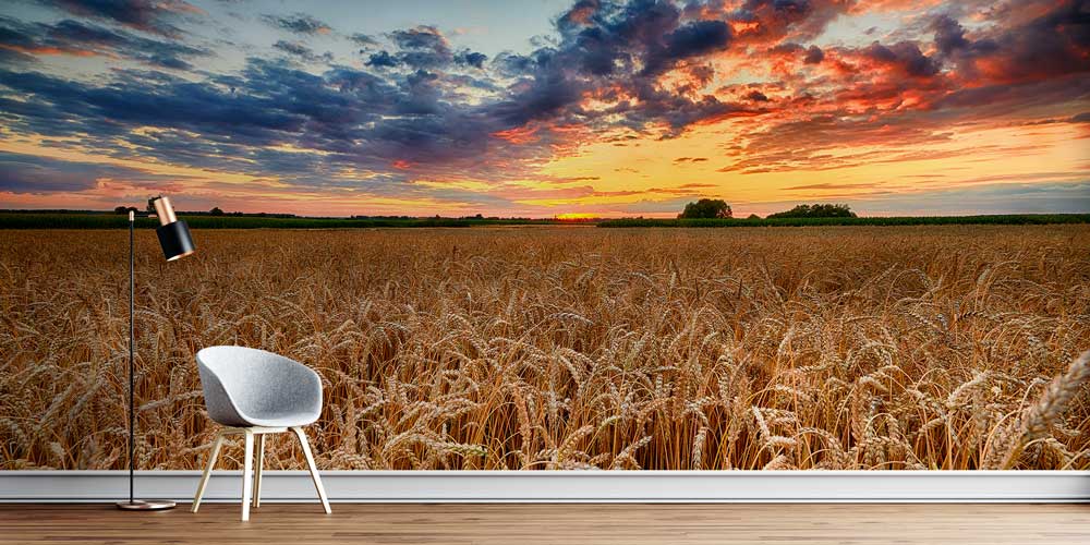 Gün Batımında Buğday Tarlası Manzaralı Duvar Kağıdı 13073