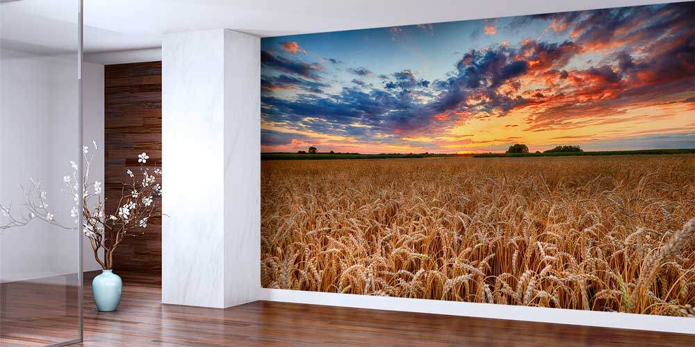 Gün Batımında Buğday Tarlası Manzaralı Duvar Kağıdı 13073