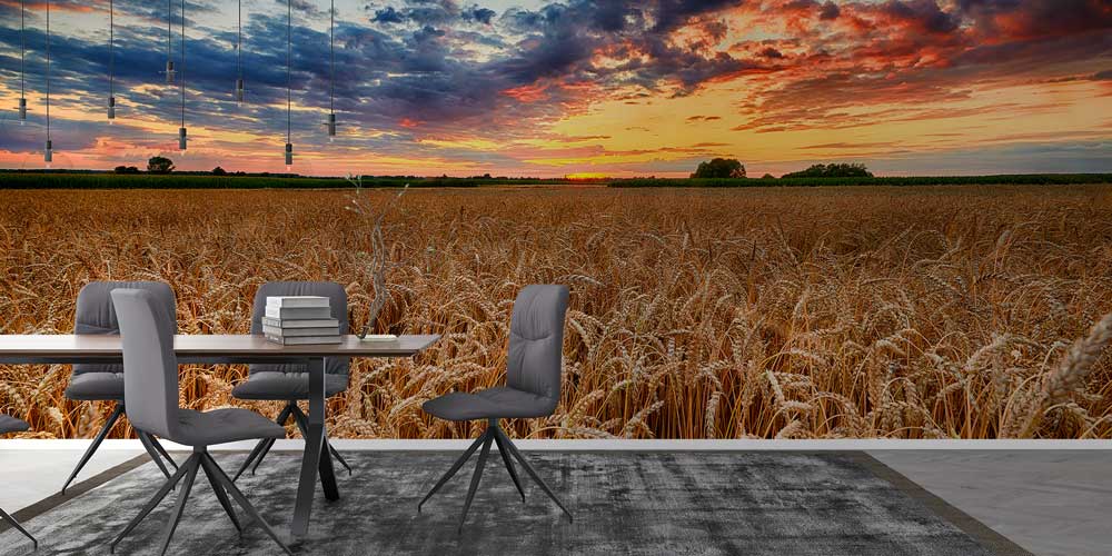 Gün Batımında Buğday Tarlası Manzaralı Duvar Kağıdı 13073