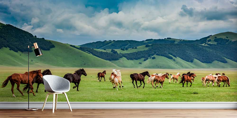 Koşan Atlar Manzarası Duvar Kağıdı 12933