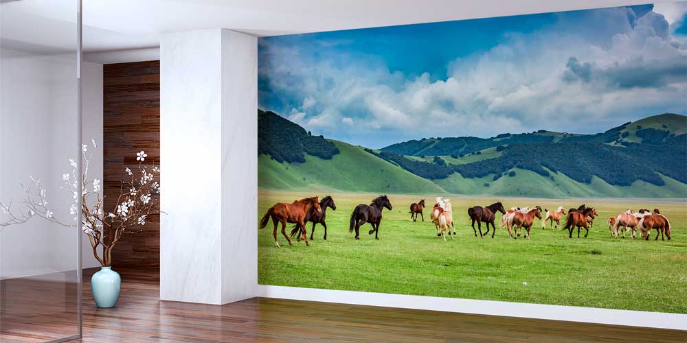 Koşan Atlar Manzarası Duvar Kağıdı 12933