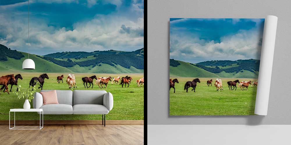 Koşan Atlar Manzarası Duvar Kağıdı 12933
