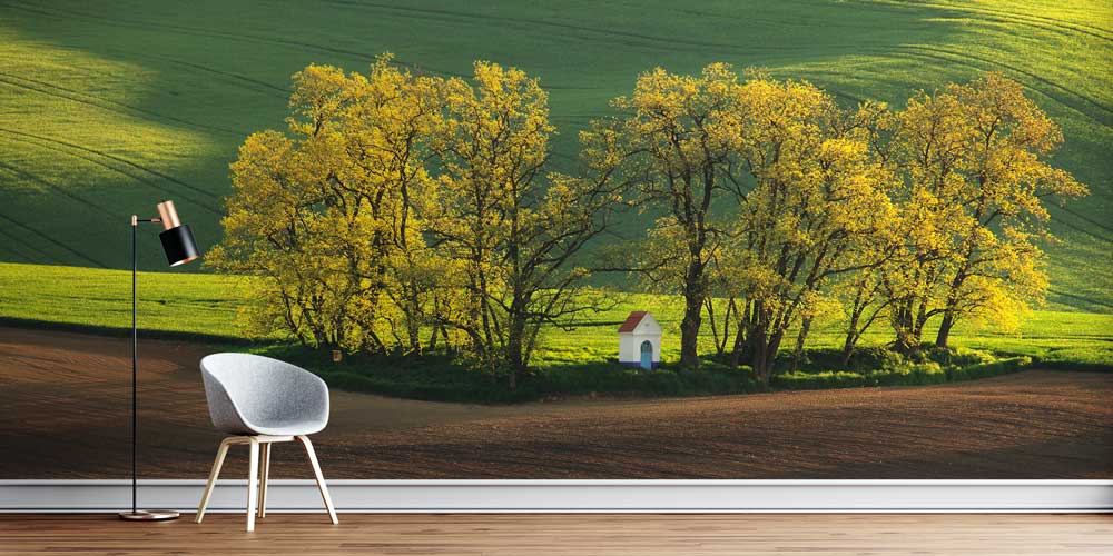 Yeşil Ağaçlar ve Küçük Ev Duvar Kağıdı 12935
