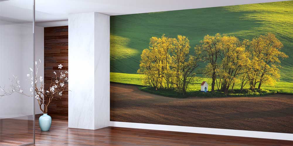 Yeşil Ağaçlar ve Küçük Ev Duvar Kağıdı 12935