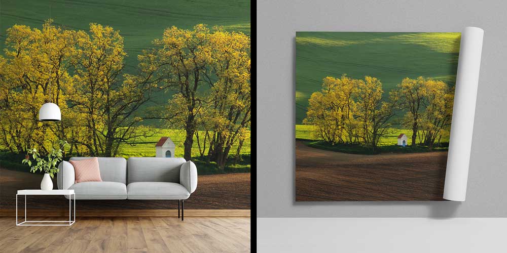 Yeşil Ağaçlar ve Küçük Ev Duvar Kağıdı 12935