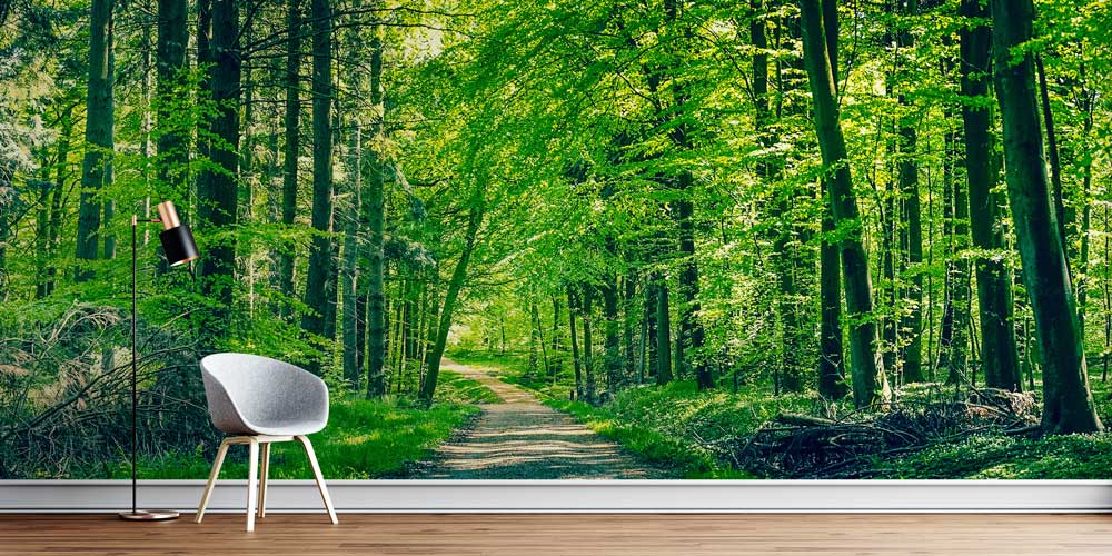 Orman Yolu Manzarası Duvar Kağıdı 12937