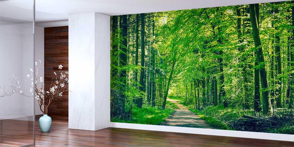 Orman Yolu Manzarası Duvar Kağıdı 12937