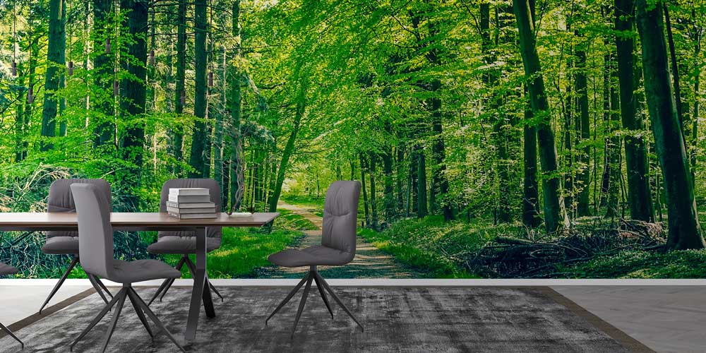 Orman Yolu Manzarası Duvar Kağıdı 12937