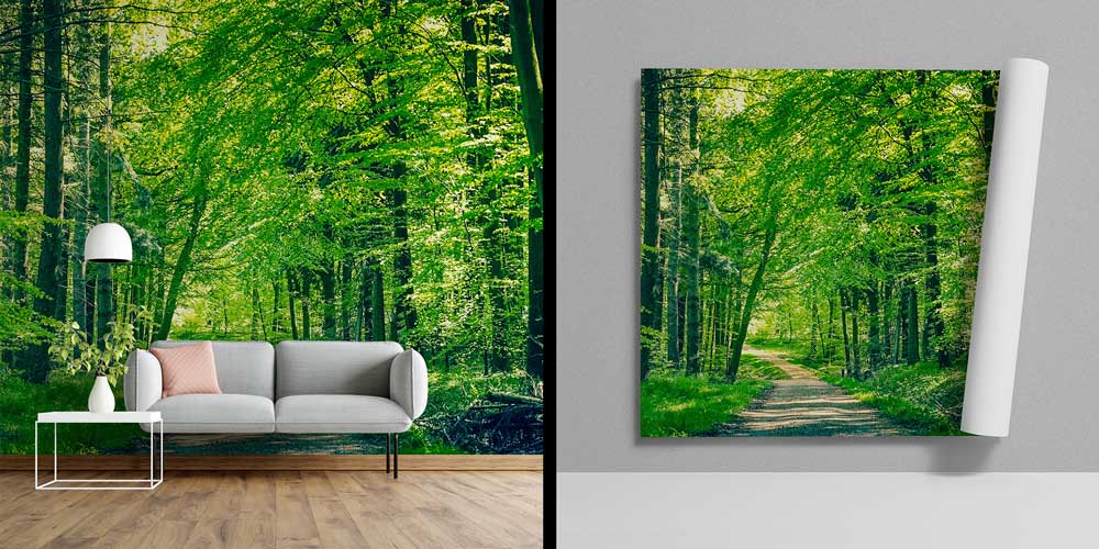 Orman Yolu Manzarası Duvar Kağıdı 12937