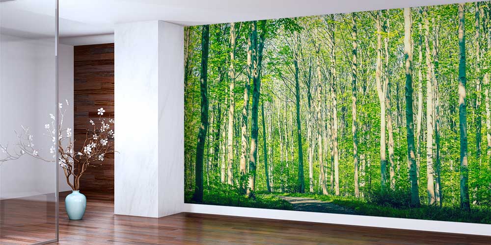 Orman Yolu Duvar Kağıdı 12941